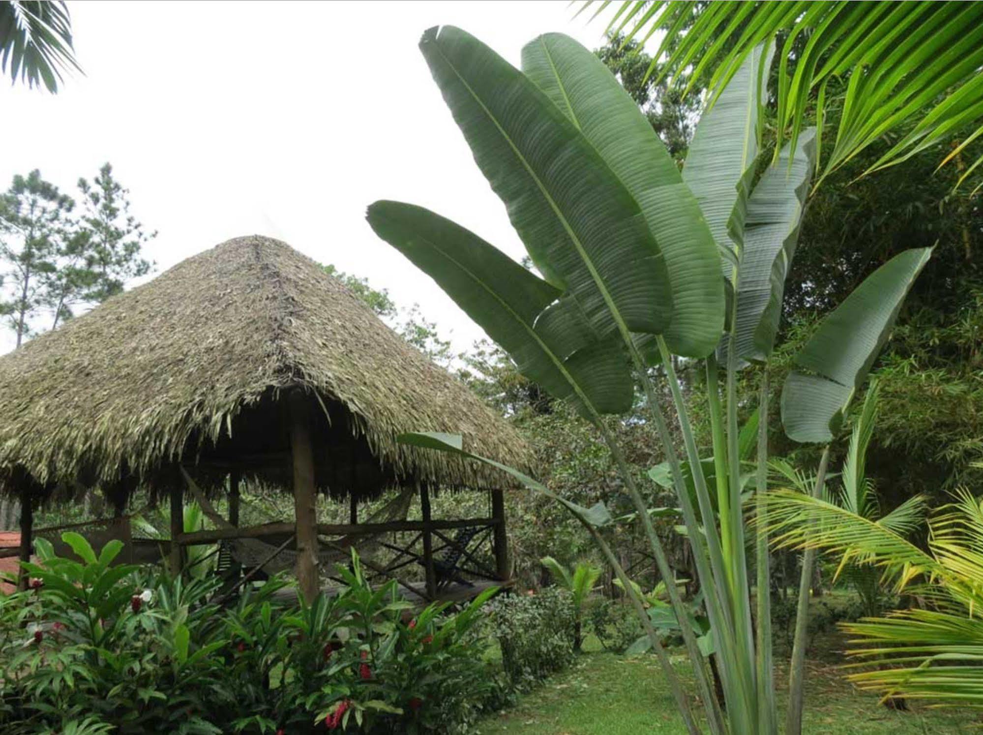 Monkey Lodge Panama Chilibre Exterior photo